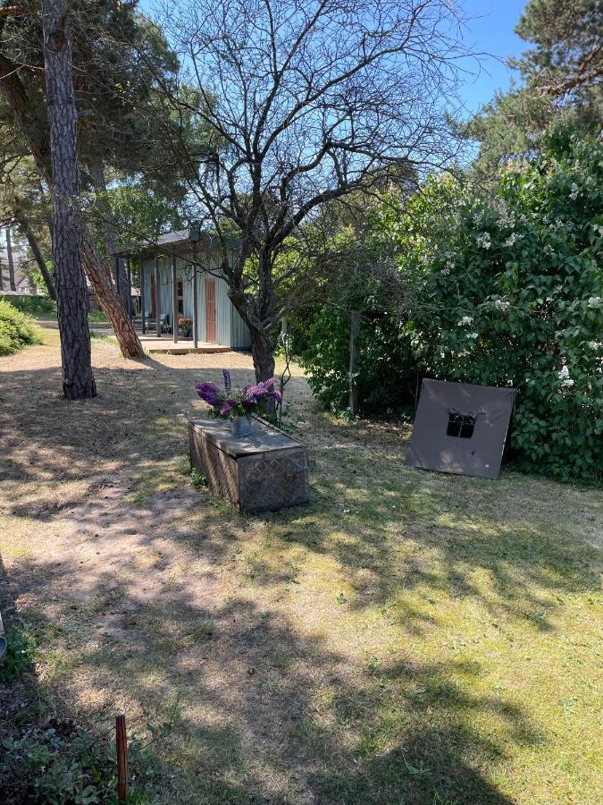 Ferienhaus Moss And Pines By The Sea With Private Parking *