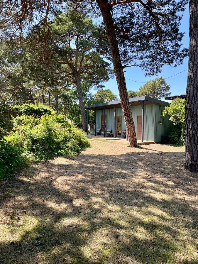 Moss And Pines By The Sea With Private Parking * Ventspils